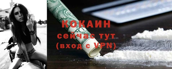 твердый Арсеньев