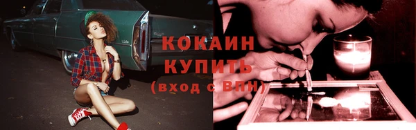 молекула духа Аркадак