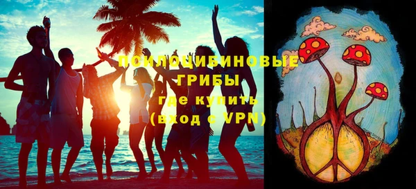 молекула духа Аркадак