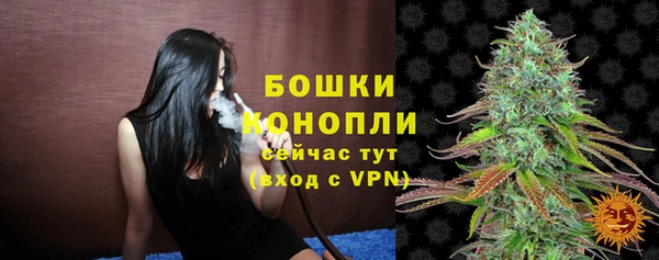 молекула духа Аркадак