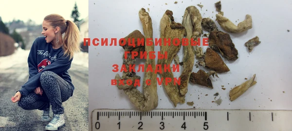 молекула духа Аркадак