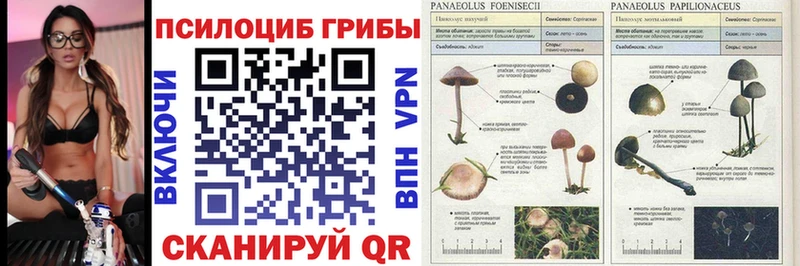купить  цена  Льгов  Галлюциногенные грибы MAGIC MUSHROOMS 