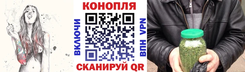 Каннабис сатива Льгов